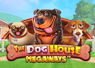 USDT Slot - The Dog House Megaways